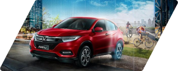 Chi phí cực kỳ hợp lý